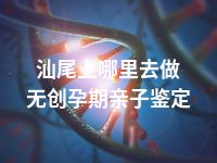汕尾上哪里去做无创孕期亲子鉴定