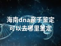 海南dna亲子鉴定可以去哪里鉴定