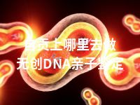 自贡上哪里去做无创DNA亲子鉴定