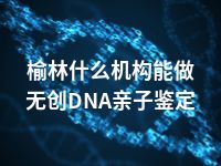 榆林什么机构能做无创DNA亲子鉴定