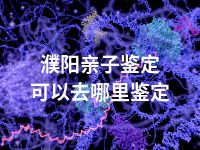 濮阳亲子鉴定可以去哪里鉴定