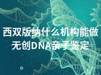 西双版纳什么机构能做无创DNA亲子鉴定