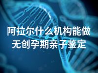 阿拉尔什么机构能做无创孕期亲子鉴定