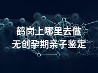 鹤岗上哪里去做无创孕期亲子鉴定