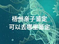 梧州亲子鉴定可以去哪里鉴定
