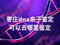 枣庄dna亲子鉴定可以去哪里鉴定