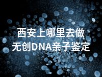 西安上哪里去做无创DNA亲子鉴定