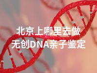 北京上哪里去做无创DNA亲子鉴定