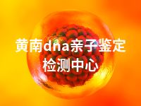 黄南dna亲子鉴定检测中心