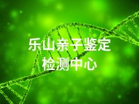 乐山亲子鉴定检测中心