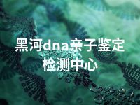 黑河dna亲子鉴定检测中心
