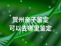 贺州亲子鉴定可以去哪里鉴定