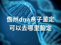 儋州dna亲子鉴定可以去哪里鉴定