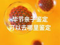 毕节亲子鉴定可以去哪里鉴定