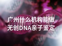 广州什么机构能做无创DNA亲子鉴定