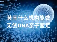 黄南什么机构能做无创DNA亲子鉴定