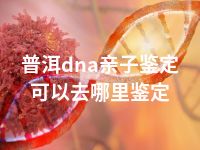 普洱dna亲子鉴定可以去哪里鉴定