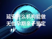 延安什么机构能做无创孕期亲子鉴定