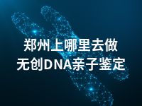 郑州上哪里去做无创DNA亲子鉴定