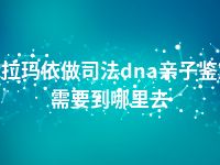 克拉玛依做司法dna亲子鉴定需要到哪里去