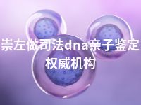 崇左做司法dna亲子鉴定权威机构