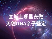 宣城上哪里去做无创DNA亲子鉴定