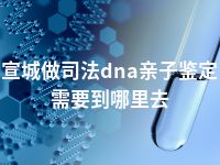 宣城做司法dna亲子鉴定需要到哪里去