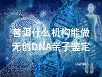 普洱什么机构能做无创DNA亲子鉴定