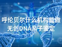 呼伦贝尔什么机构能做无创DNA亲子鉴定