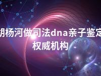 胡杨河做司法dna亲子鉴定权威机构