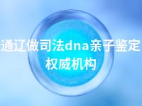 通辽做司法dna亲子鉴定权威机构