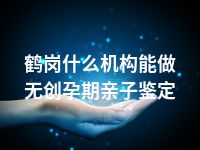 鹤岗什么机构能做无创孕期亲子鉴定