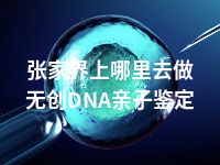 张家界上哪里去做无创DNA亲子鉴定
