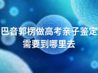 巴音郭楞做高考亲子鉴定需要到哪里去