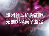 漳州什么机构能做无创DNA亲子鉴定