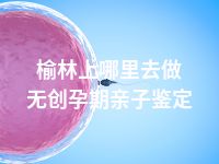 榆林上哪里去做无创孕期亲子鉴定