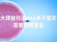 大理做司法dna亲子鉴定需要到哪里去