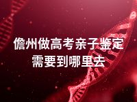 儋州做高考亲子鉴定需要到哪里去