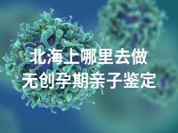 北海上哪里去做无创孕期亲子鉴定