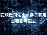 安顺做司法dna亲子鉴定需要到哪里去