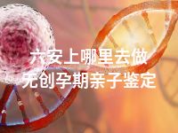 六安上哪里去做无创孕期亲子鉴定