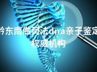 黔东南做司法dna亲子鉴定权威机构