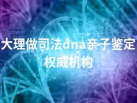 大理做司法dna亲子鉴定权威机构