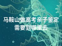 马鞍山做高考亲子鉴定需要到哪里去