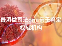普洱做司法dna亲子鉴定权威机构