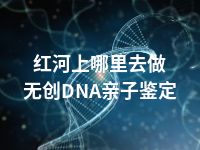 红河上哪里去做无创DNA亲子鉴定