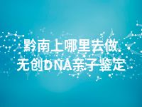 黔南上哪里去做无创DNA亲子鉴定