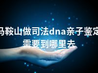 马鞍山做司法dna亲子鉴定需要到哪里去