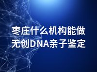 枣庄什么机构能做无创DNA亲子鉴定