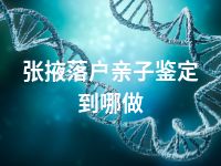 张掖落户亲子鉴定到哪做